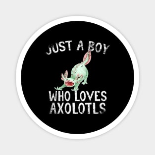 Just A Boy Who Loves Axolotls Magnet